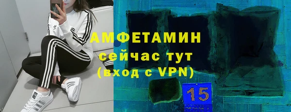 ПСИЛОЦИБИНОВЫЕ ГРИБЫ Богданович