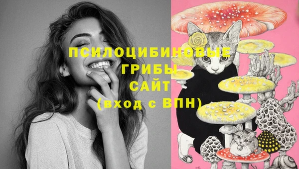 ПСИЛОЦИБИНОВЫЕ ГРИБЫ Богданович
