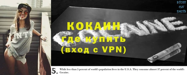 ПСИЛОЦИБИНОВЫЕ ГРИБЫ Богданович