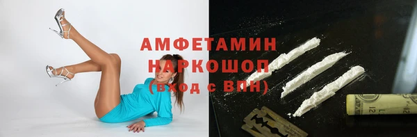 мдпв Богородск