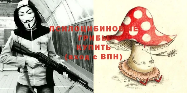 ПСИЛОЦИБИНОВЫЕ ГРИБЫ Богданович