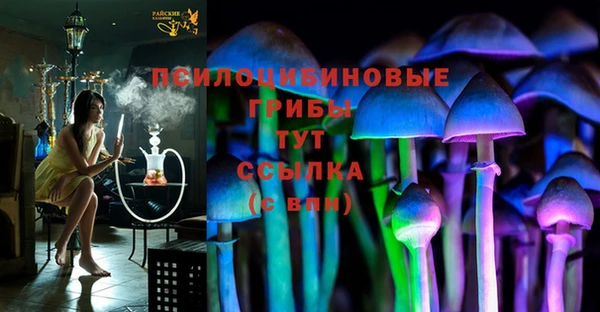 COCAINE Богородицк