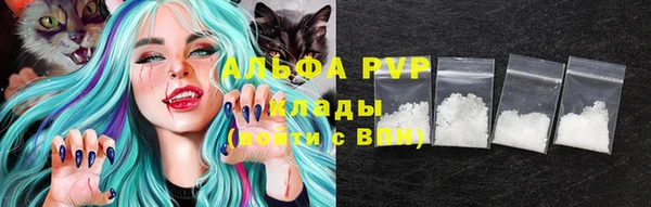 ПСИЛОЦИБИНОВЫЕ ГРИБЫ Богданович