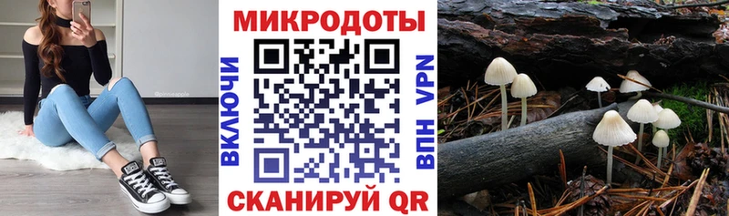 Купить закладки  Кушва  Псилоцибиновые грибы мухоморы 