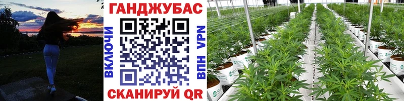 Бошки марихуана White Widow  Купить  Кушва 